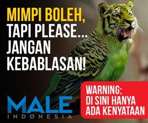 Akhirnya Ketahuan Ini Alasan Manusia Makan Daging