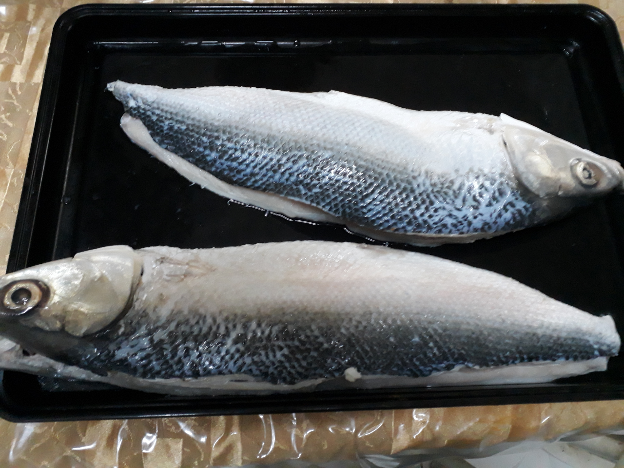 Bandeng, Ikan Lezat Dengan Berjuta Manfaat. Yuukk ... Intip!