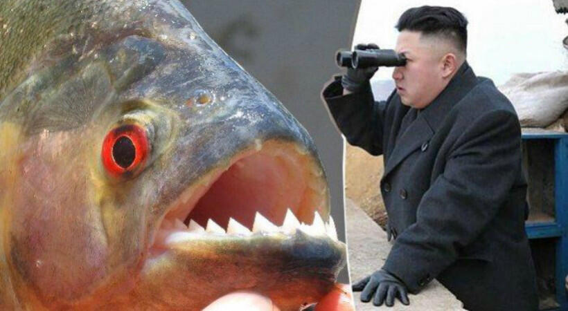 Eksekusi - Eksekusi Sadis Ala Kim Jong Un