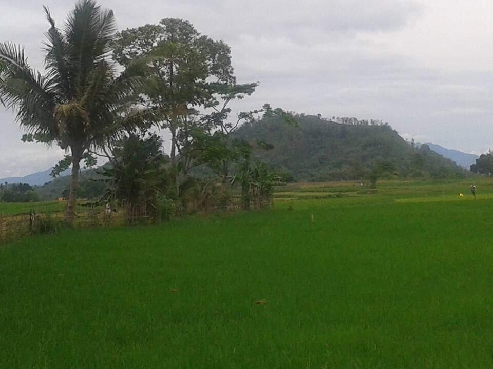 Inilah Suka Dukanya Menjadi Anak Rantau, Apa Pendapatmu? 