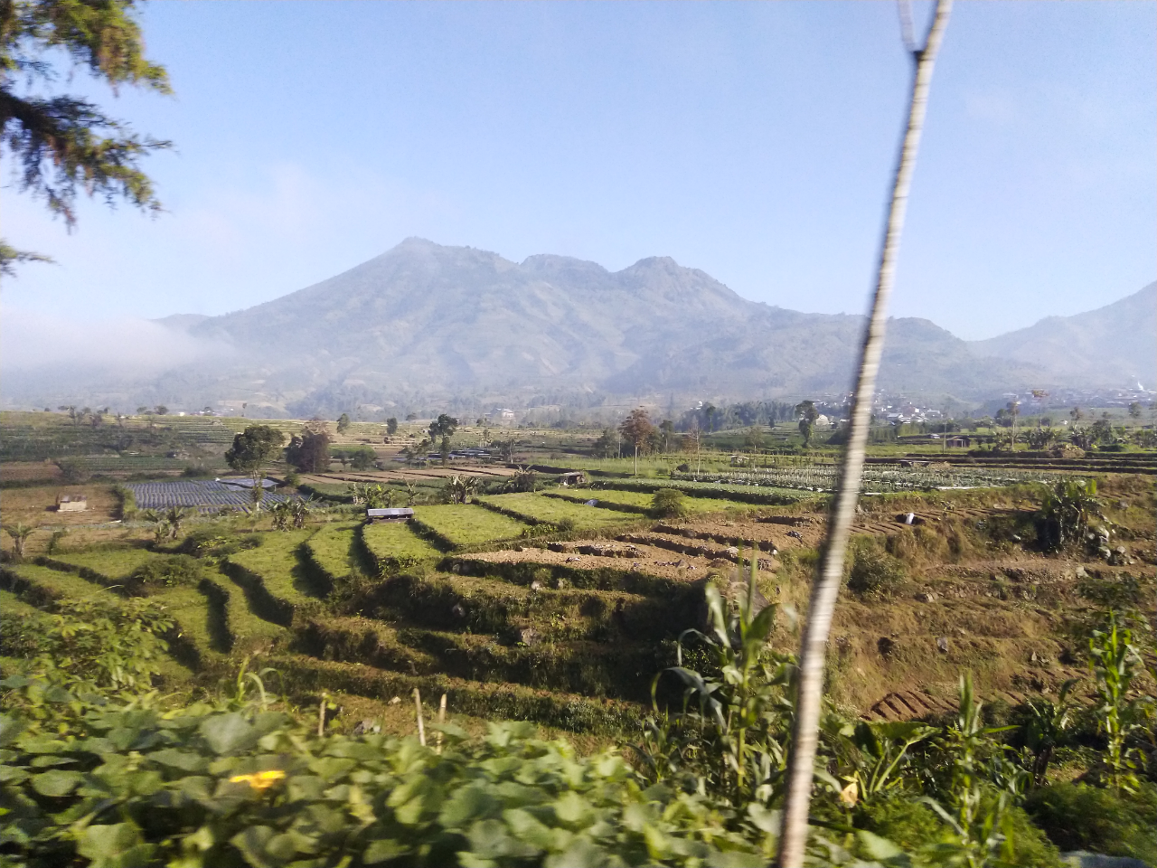 Perjalanan Pulang Ke Wonosobo Setelah 2 Tahun Ga Mudik