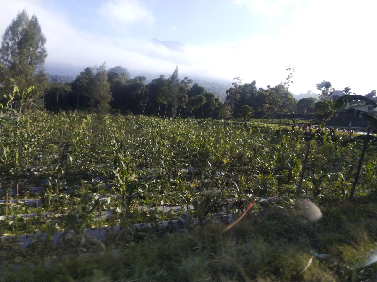 Perjalanan Pulang Ke Wonosobo Setelah 2 Tahun Ga Mudik