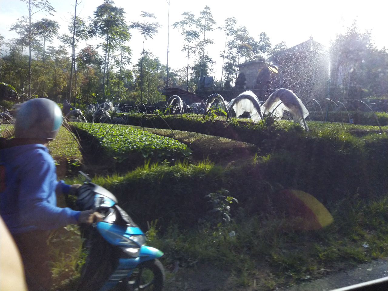 Perjalanan Pulang Ke Wonosobo Setelah 2 Tahun Ga Mudik
