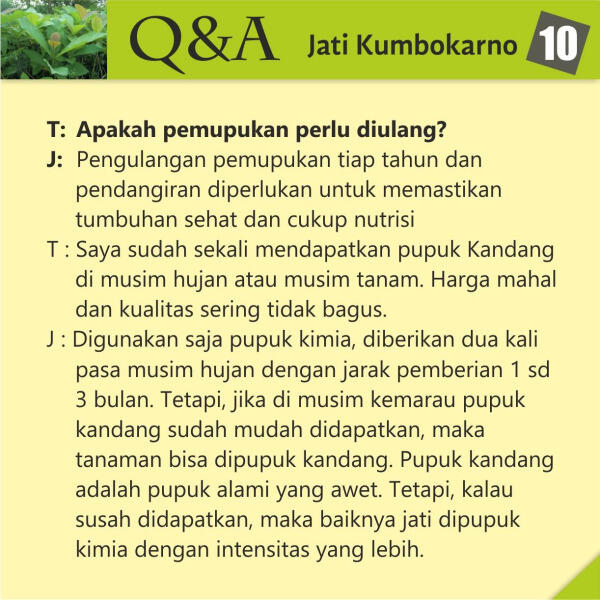 Jati Kumbokarno