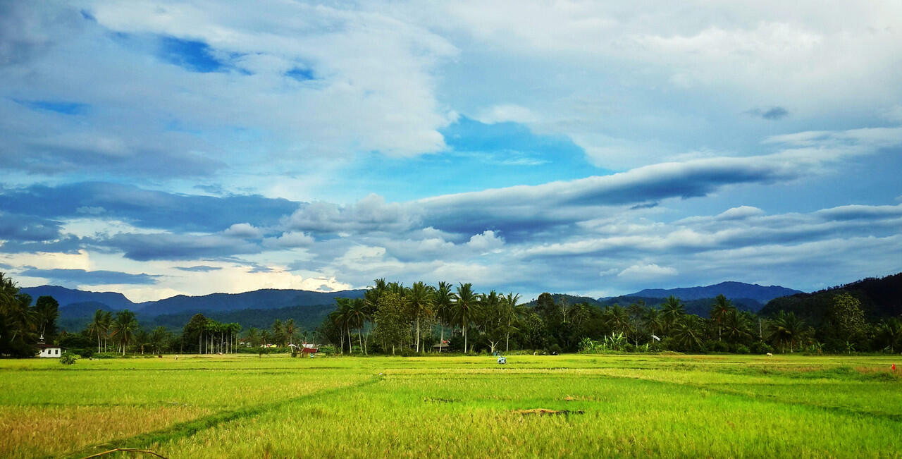 Tahun 2019 Ganti Arah Mudik, Ke Barat!