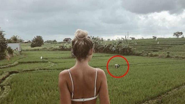 Dianggap Lecehkan Petani Bali Sambil Berbikini, Turis Asal Swedia