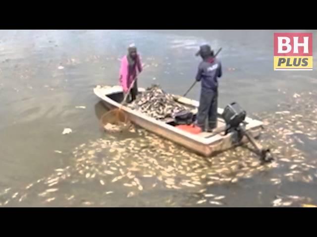Viral Turis Asing Berenang di Sungai Tercemar, Kok Gak Jijik ya Gan?
