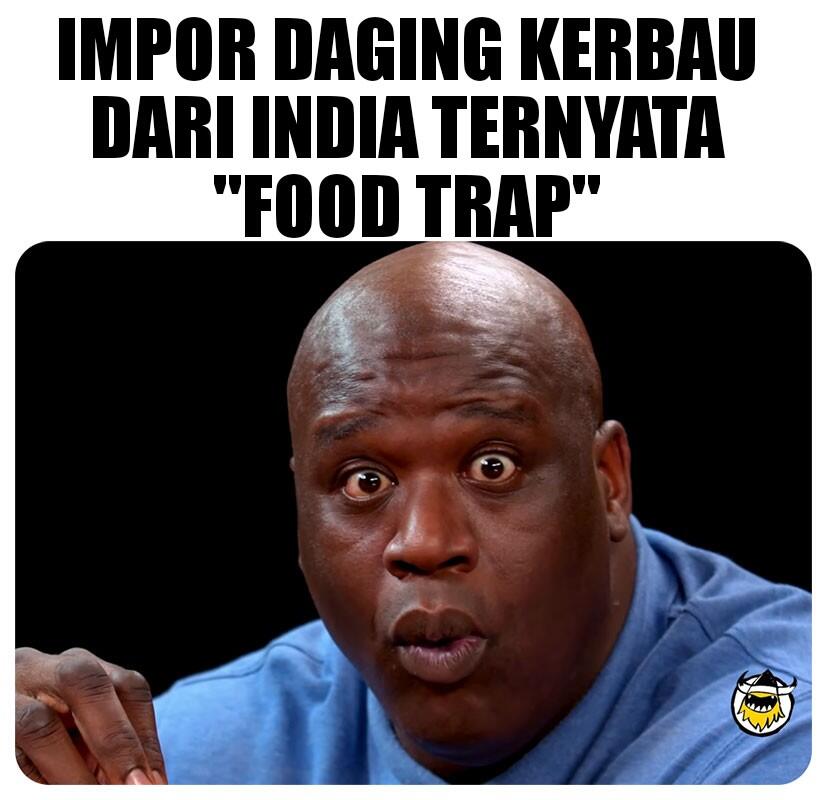 Waspada Jebakan Impor Daging Kerbau India