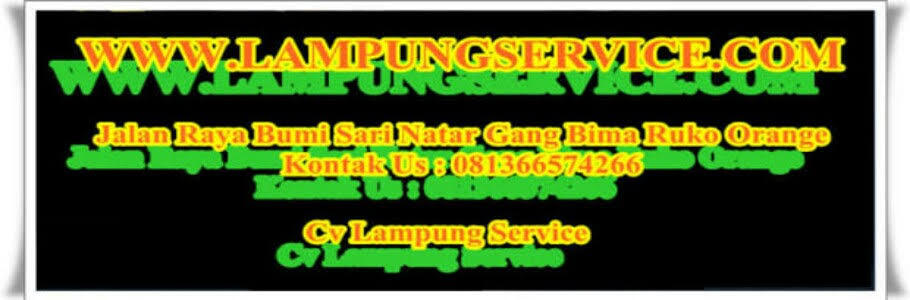 Pemilik PT Lampung Service ( Nino Nurmadi ) Angkat Bicara Soal Bisnis Online