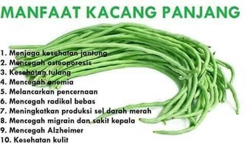 Tanaman Ajaib! Sudah Enak Berkhasiat Pula, Ssst ... No.3 Rahasia Pria Dewasa!
