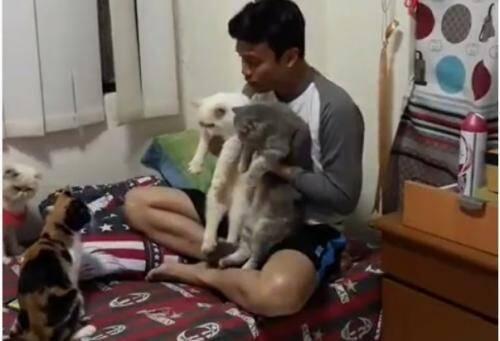 Video Nikahkan Kucing, Netizen: Semoga Awet Gilanya Ya!