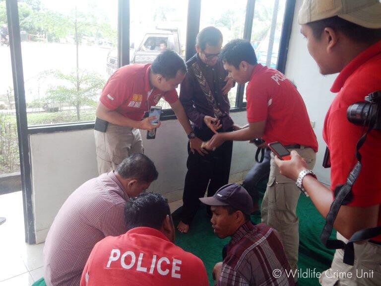 Disita, Gading Gajah Berbentuk Pipa Rokok di Lampung