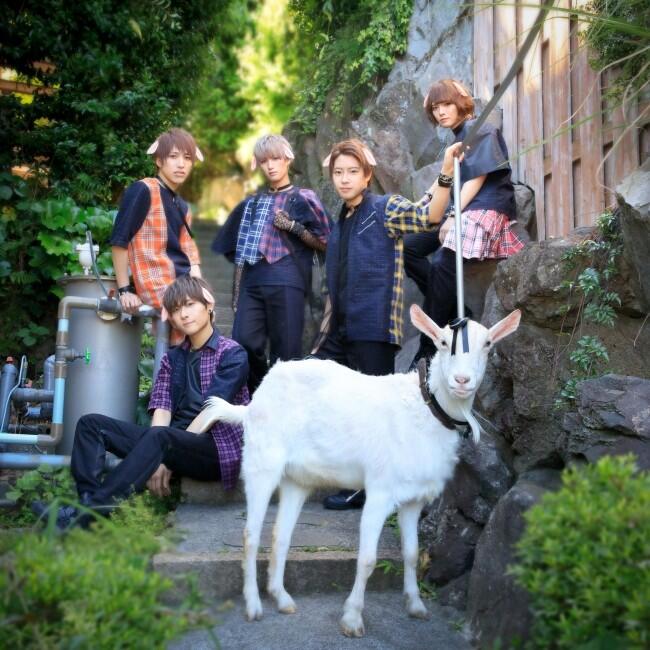 Kambing Jadi Anggota Boyband? Di Jepang Bisa!