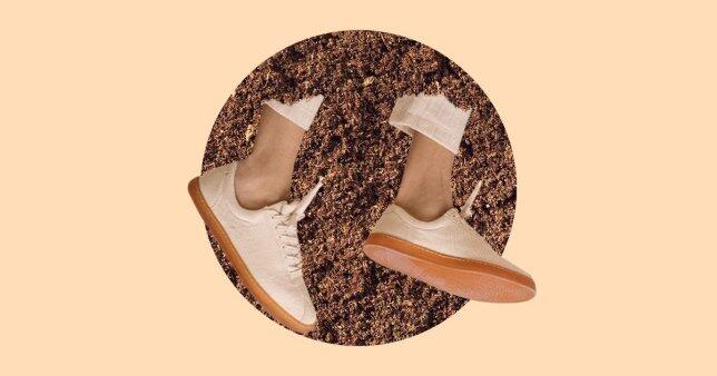 Keren dan Ramah Lingkungan, Sneakers Ini 100% Terbuat dari Tanaman