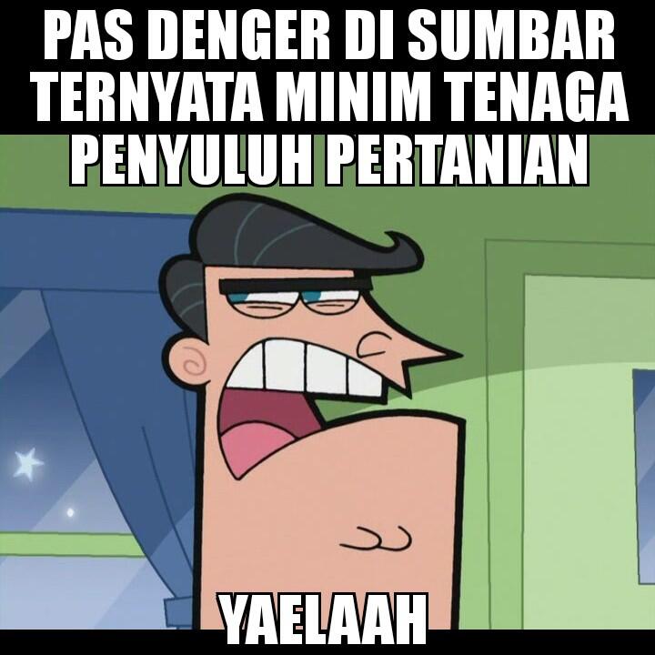 Sumatera Barat Ternyata Minim Tenaga Penyuluh Pertanian