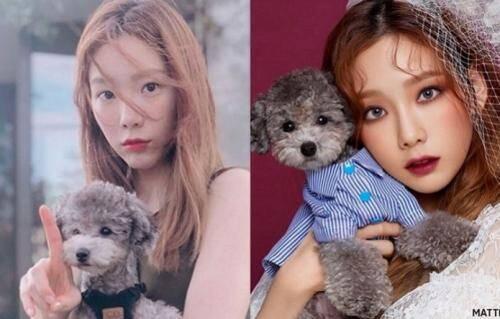 Disinggung soal Bipolar, Taeyeon SNSD: Saya Hanya Depresi