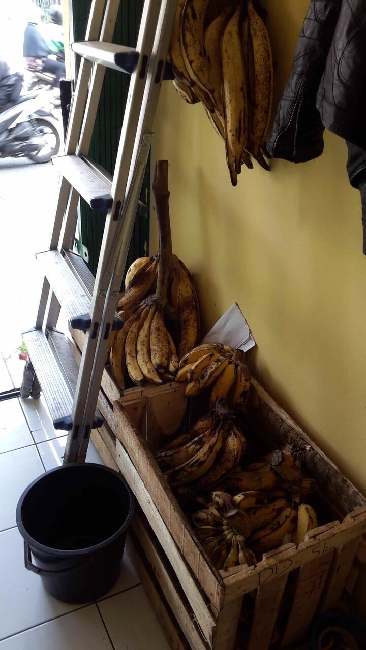 (Sharing) Usaha sampingan PISANG MADU & TANDUK sambil tetap kerja