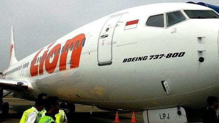 Lion Air Turunkan Harga 50 Persen, Rute Tujuan Kemana Saja? Buruan Cek di Sini