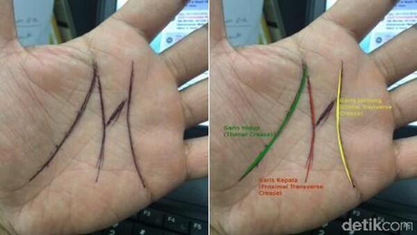 Garis Tangan M
