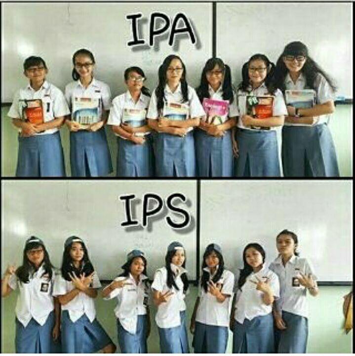 IPA vs IPS