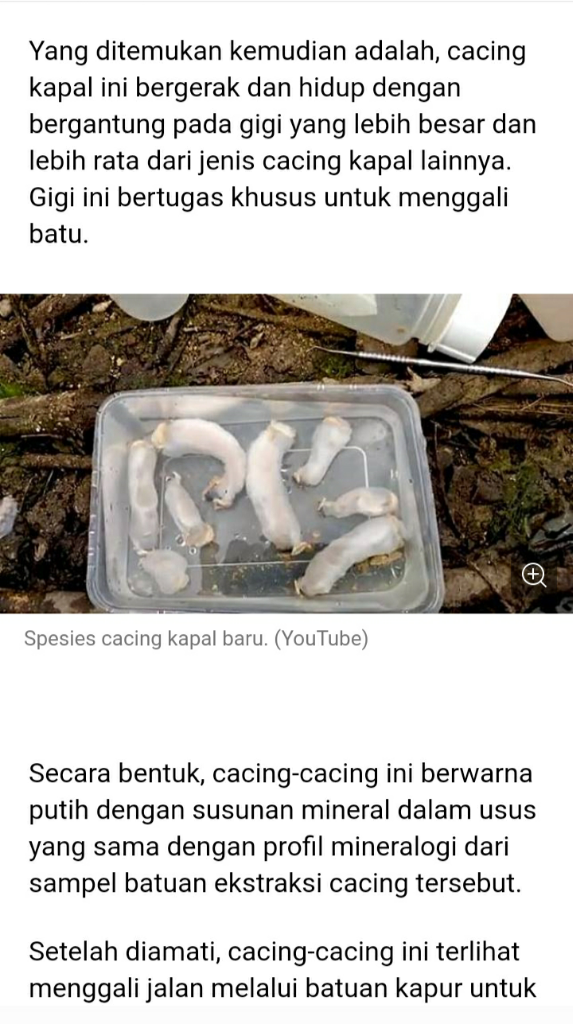 Cacing, Aku Kepoin Kamu Ya!?