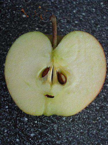 10 pareidolia dari sayur dan buah ini bikin kamu takut atau gemas?