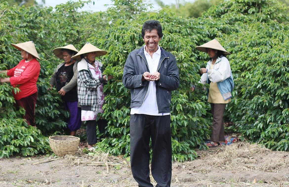 Kopi Humbang, Arabika Dari Tanah Toba!!!! (ENAK BGT GAN!!!!!)