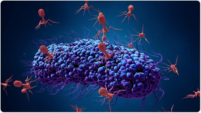 Antibodi Monoklonal , Senjata Modern Dalam Mengobati Kanker