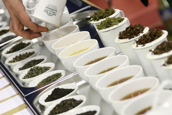 6 Pekerjaan Paling Aneh di Dunia