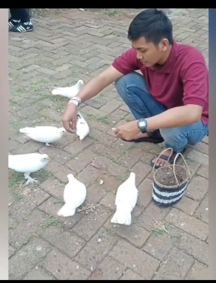 Mari Mulai Dari Sekarang Mengungkapkan Kasih Sayang Kepada Sesama