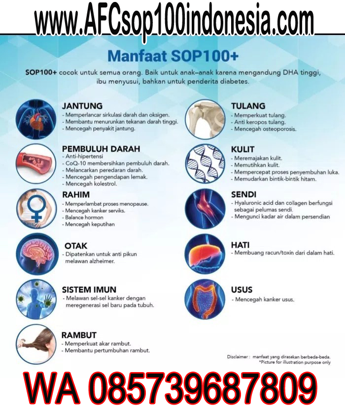 AFC SOP 100% plus japan | Jual SOP100+ Asli dan Murah | Stokis Resmi AFC Indonesia‎