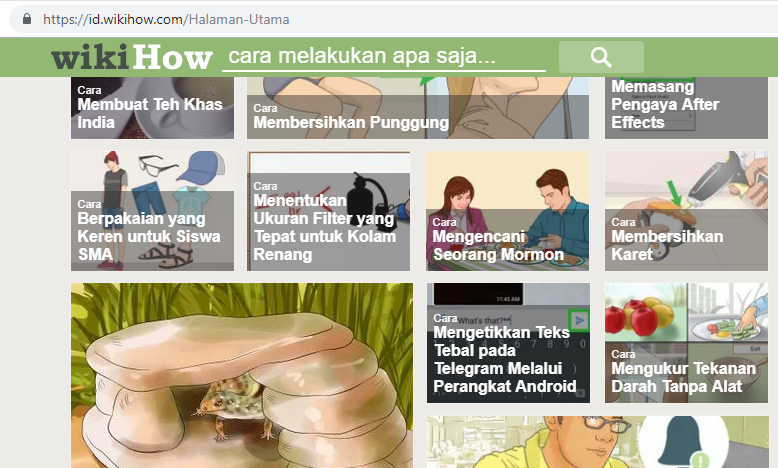 Ada-ada Aja! Ini 5 &quot;Cara&quot; Aneh dan Kocak di wikiHow