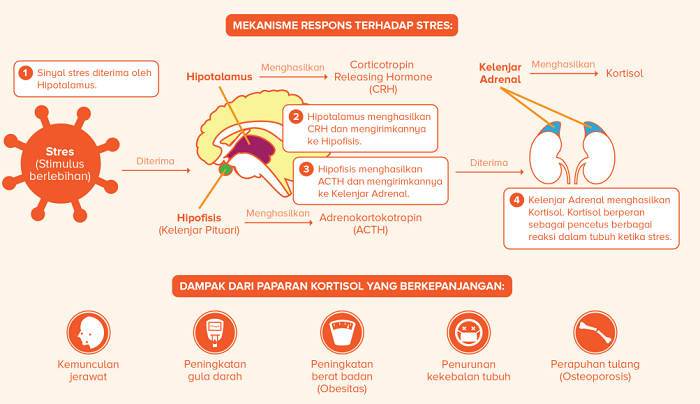 Terkejoet, ternyata Stress Dapat Membuat Orang Jadi tak Menarik