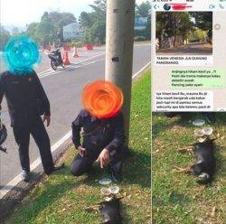 Anjing Milik SM yang Masuk Sebuah Masjid di Sentul Dikabarkan Mati, Ini Penyebabnya