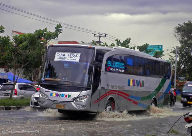 Bus Penguasa Jalur Lintas Selatan Pulau Jawa !!