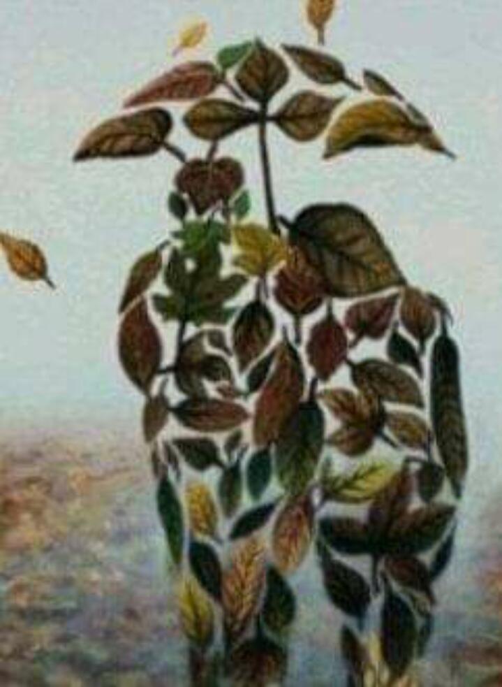 Cinta Jingga Senja