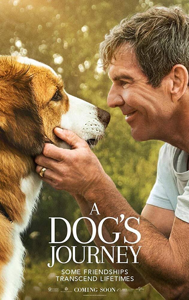 A Dog's Journey (2019), Persahabatan Sejati Yang Kekal