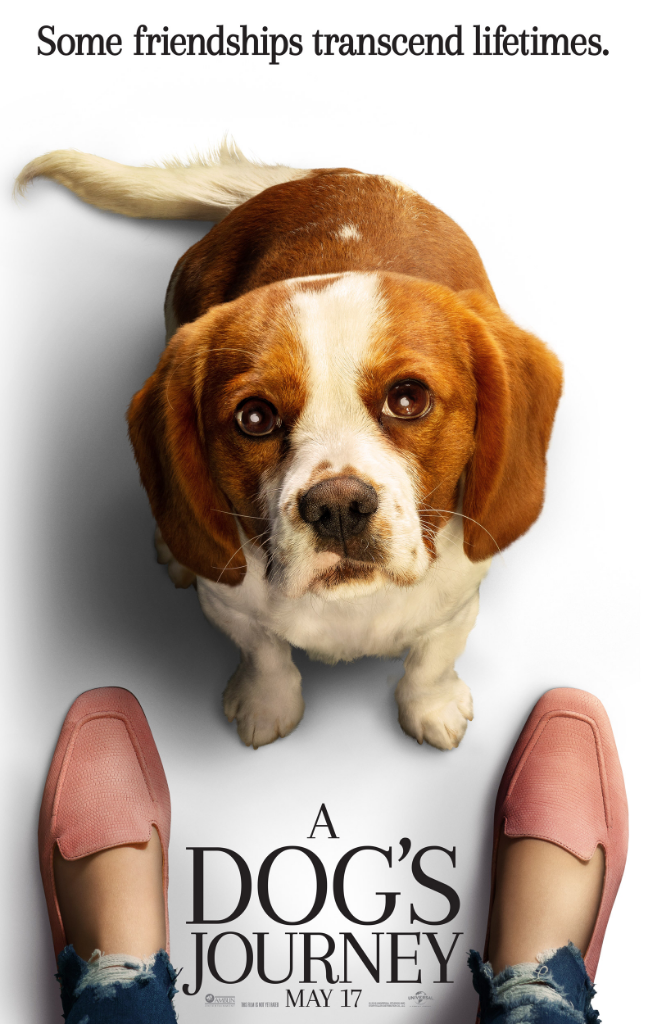 A Dog's Journey (2019), Persahabatan Sejati Yang Kekal