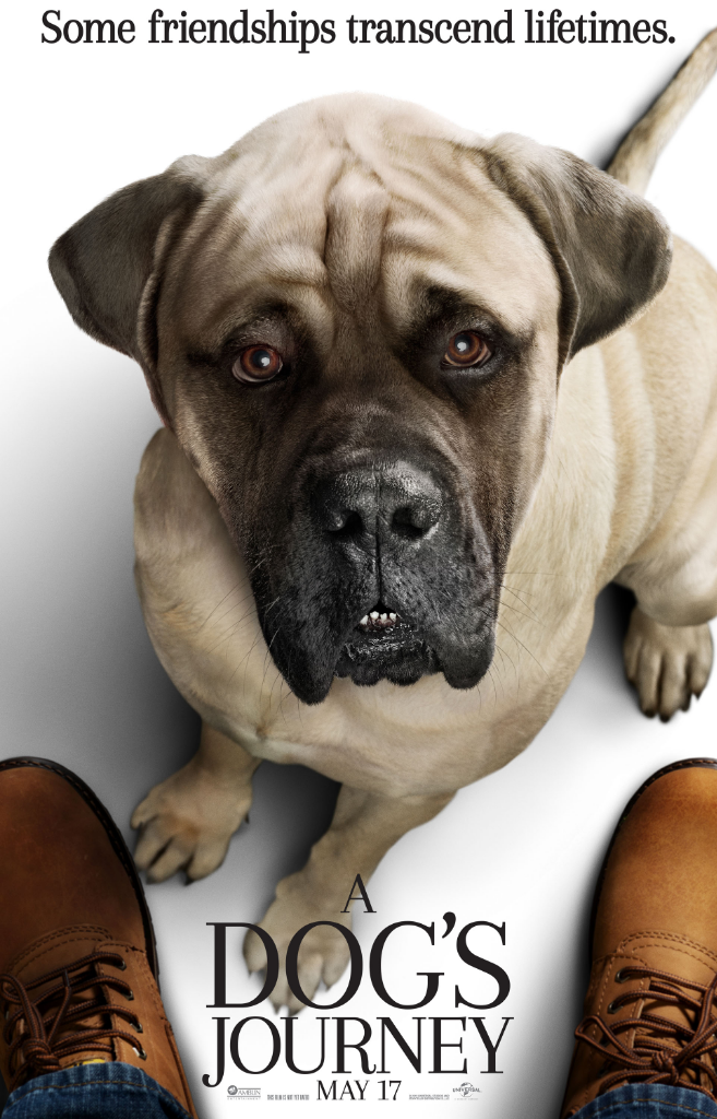 A Dog's Journey (2019), Persahabatan Sejati Yang Kekal