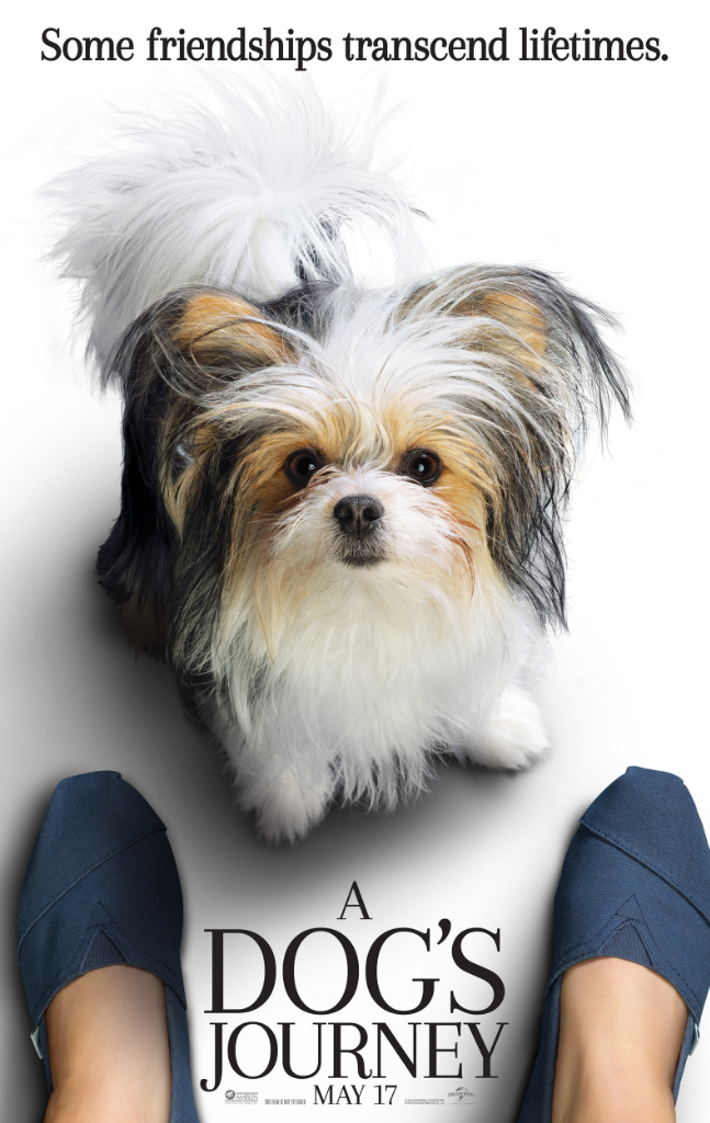 A Dog's Journey (2019), Persahabatan Sejati Yang Kekal