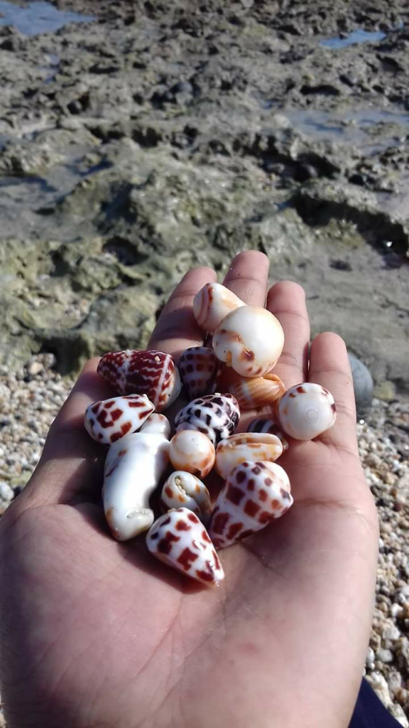 Salah Satu Pantai yang Memiliki Aksesoris Tercantik