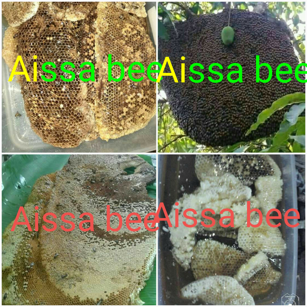 Usaha Tanpa Modal, Tanpa Resiko