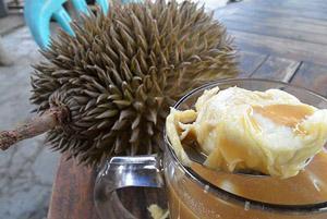 Minuman Khas Lampung, Dari yang Segar Dan Kopi Klasik 