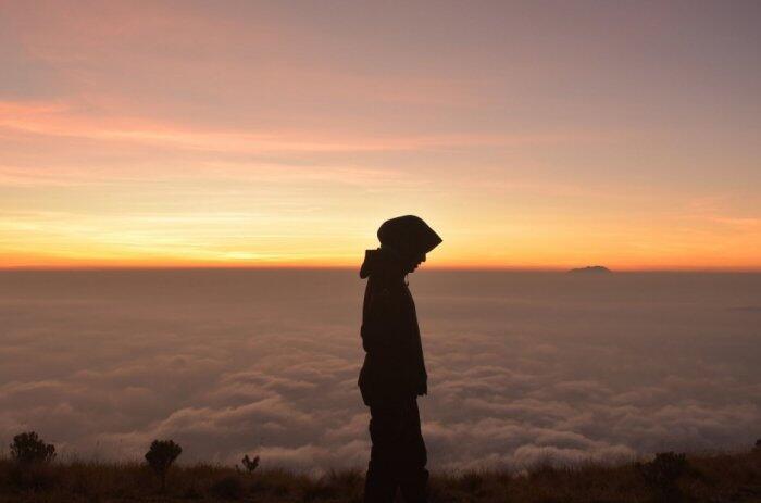 Malaikat Senja