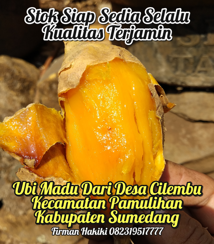 Ritual Cuci &amp; Sortir Ubi Cilembu 