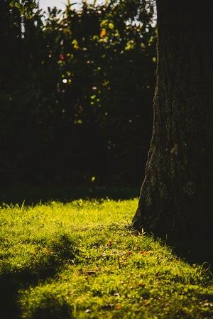 CERPEN KARANGAN KEBAHAGIAN ITU UNTUKKU