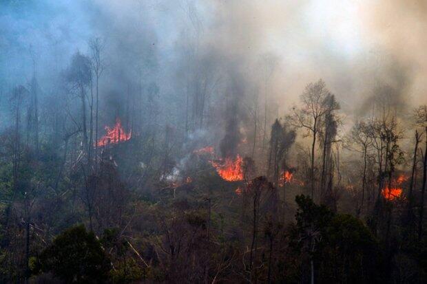 Musim Kemarau, 111 Hektare Lahan di Aceh Terbakar