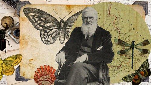 Orang-Orang Nusantara yang Membantu Ilmuwan Alfred Russel Wallace