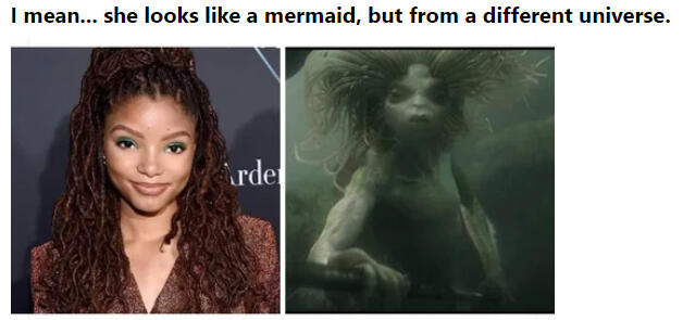 Meme/Jokes/Ilustrasi #Notmyariel Bentuk penolakan Halle Bailey sebagai Ariel