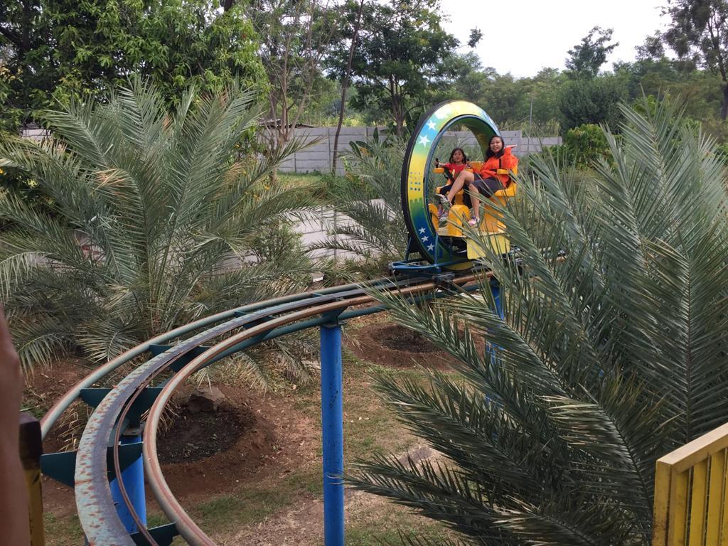 Kebun Kurma